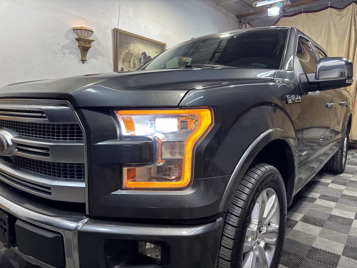 2016 Ford F-150 Platinum photo 8