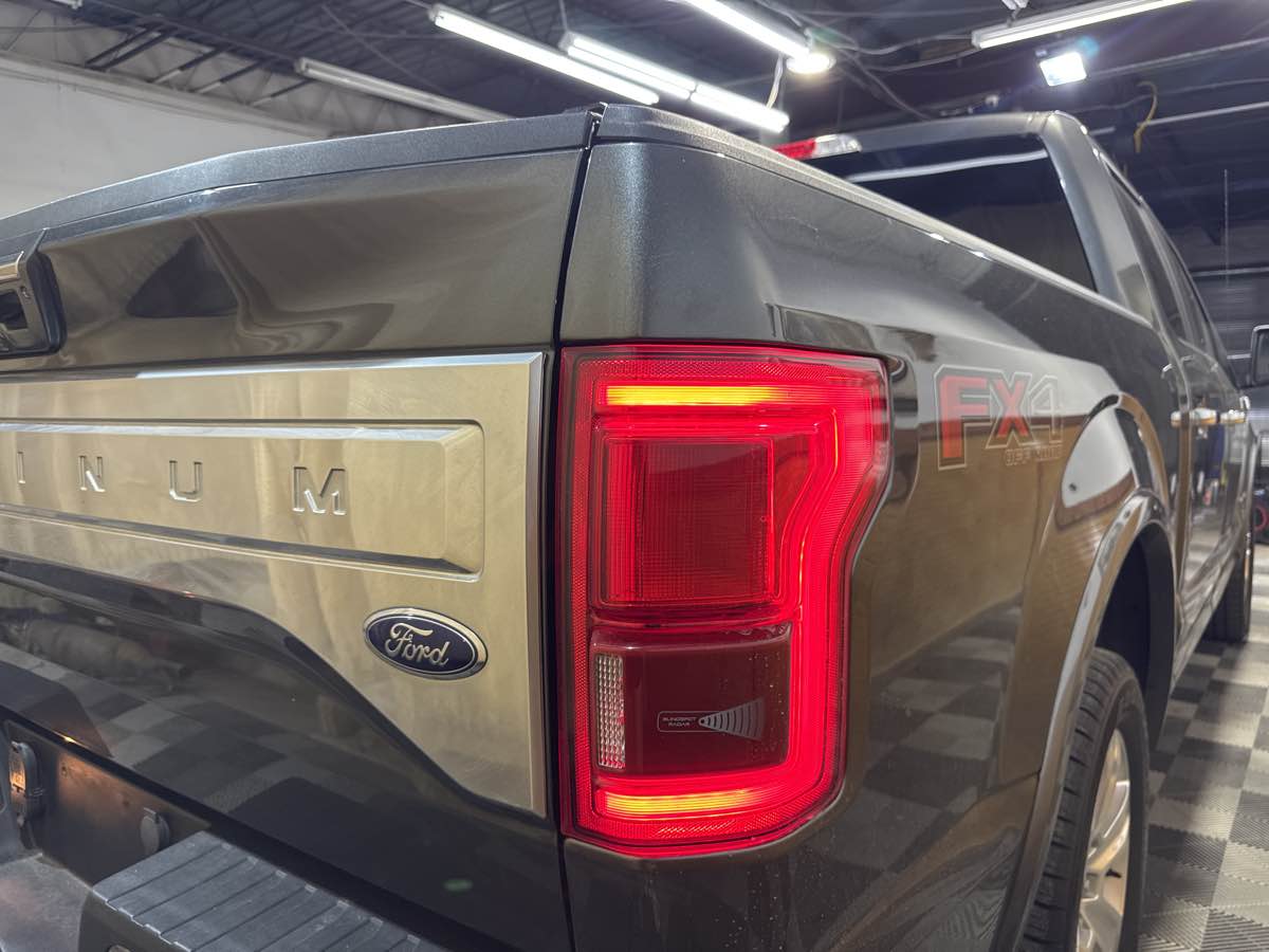 2016 Ford F-150 Platinum photo 10