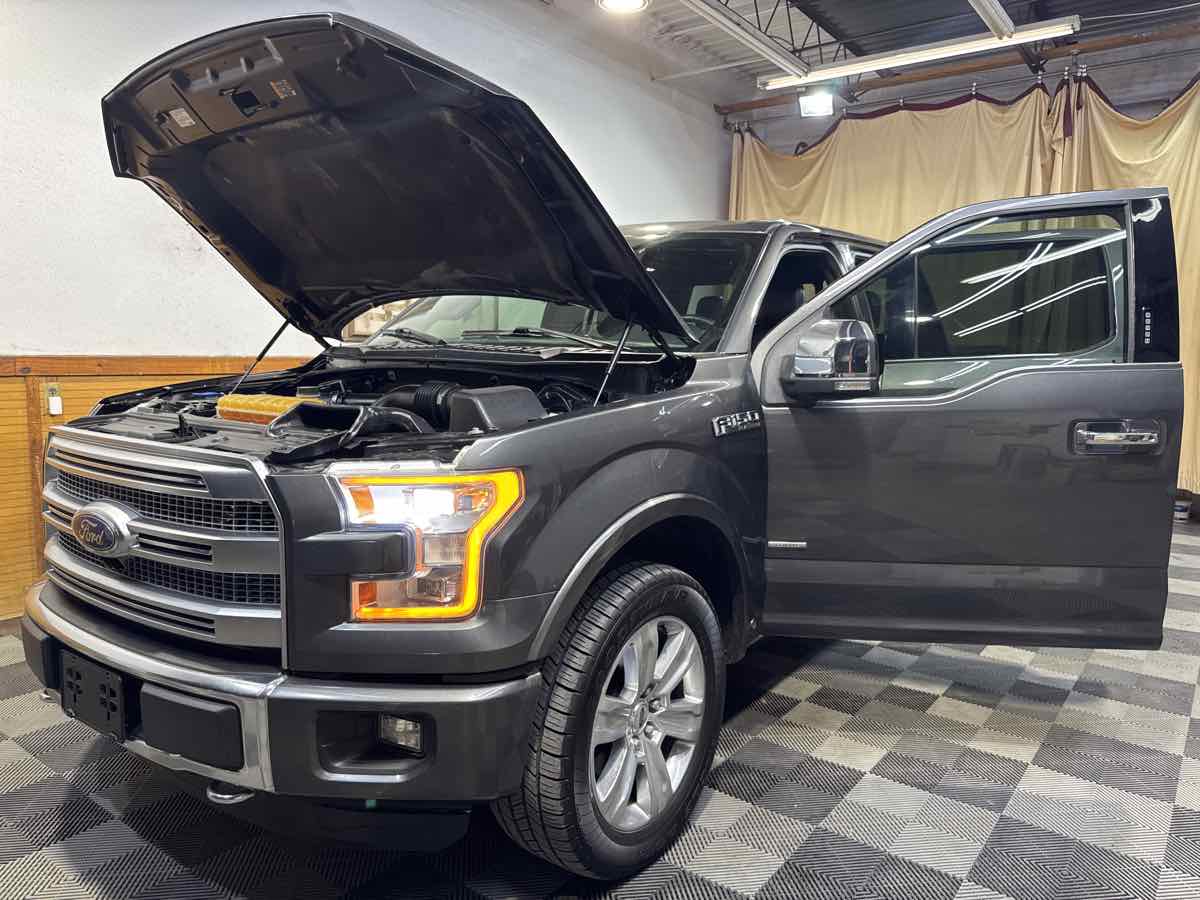 2016 Ford F-150 Platinum photo 12