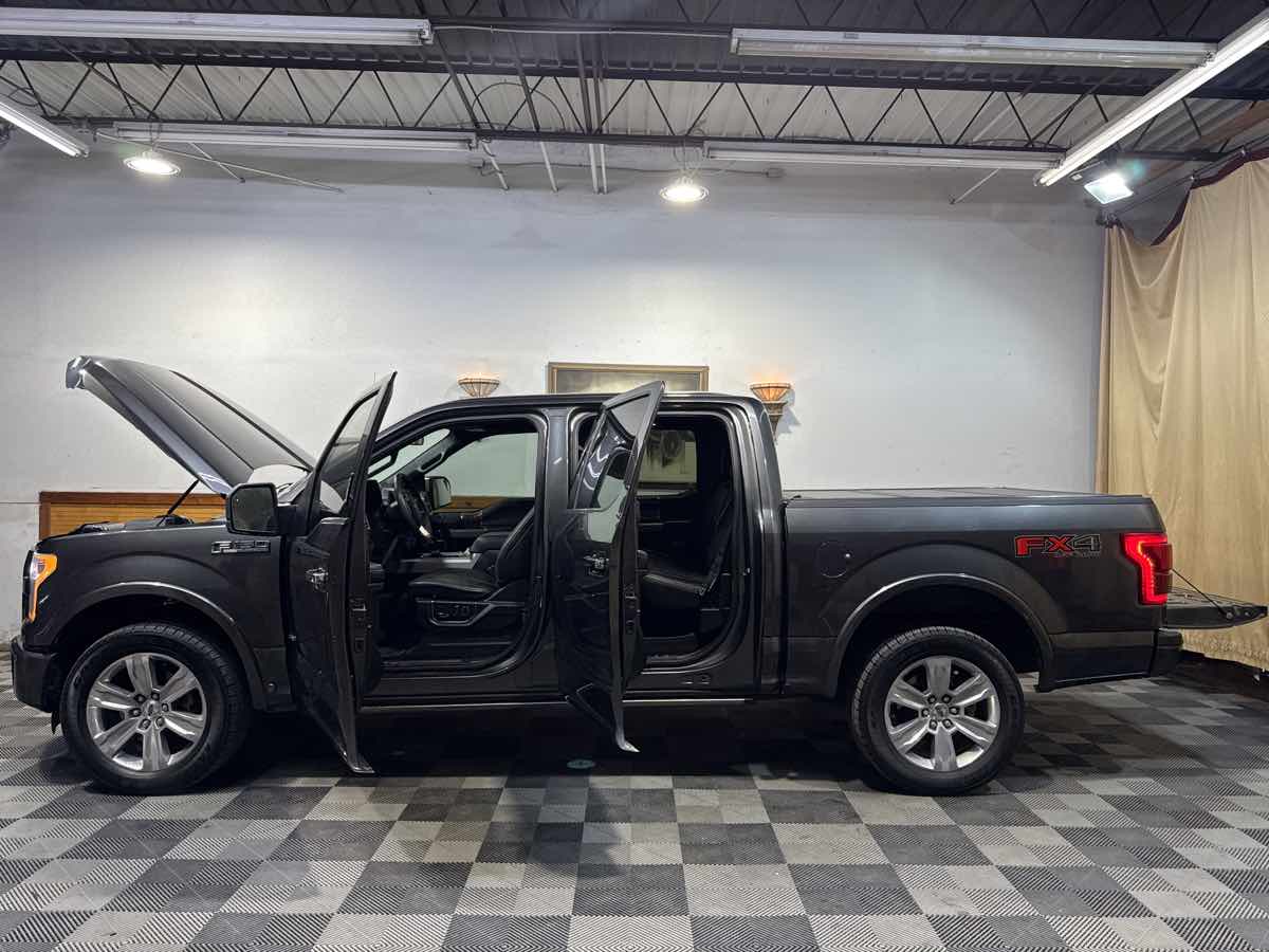 2016 Ford F-150 Platinum photo 13
