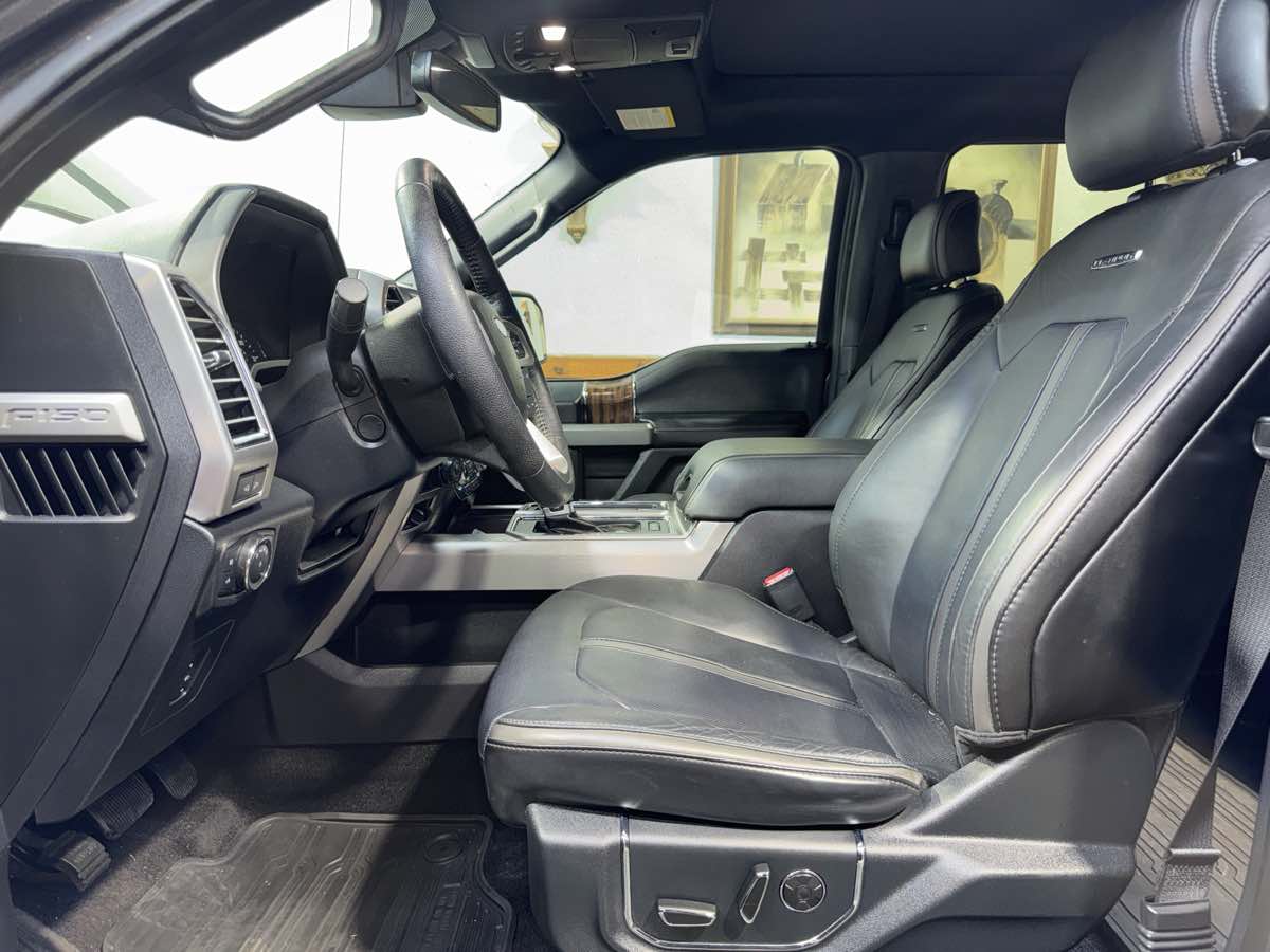 2016 Ford F-150 Platinum photo 16