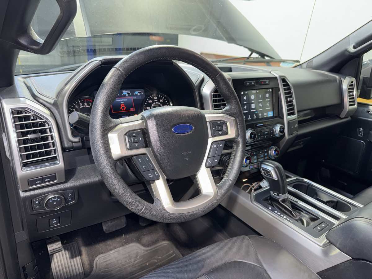 2016 Ford F-150 Platinum photo 17