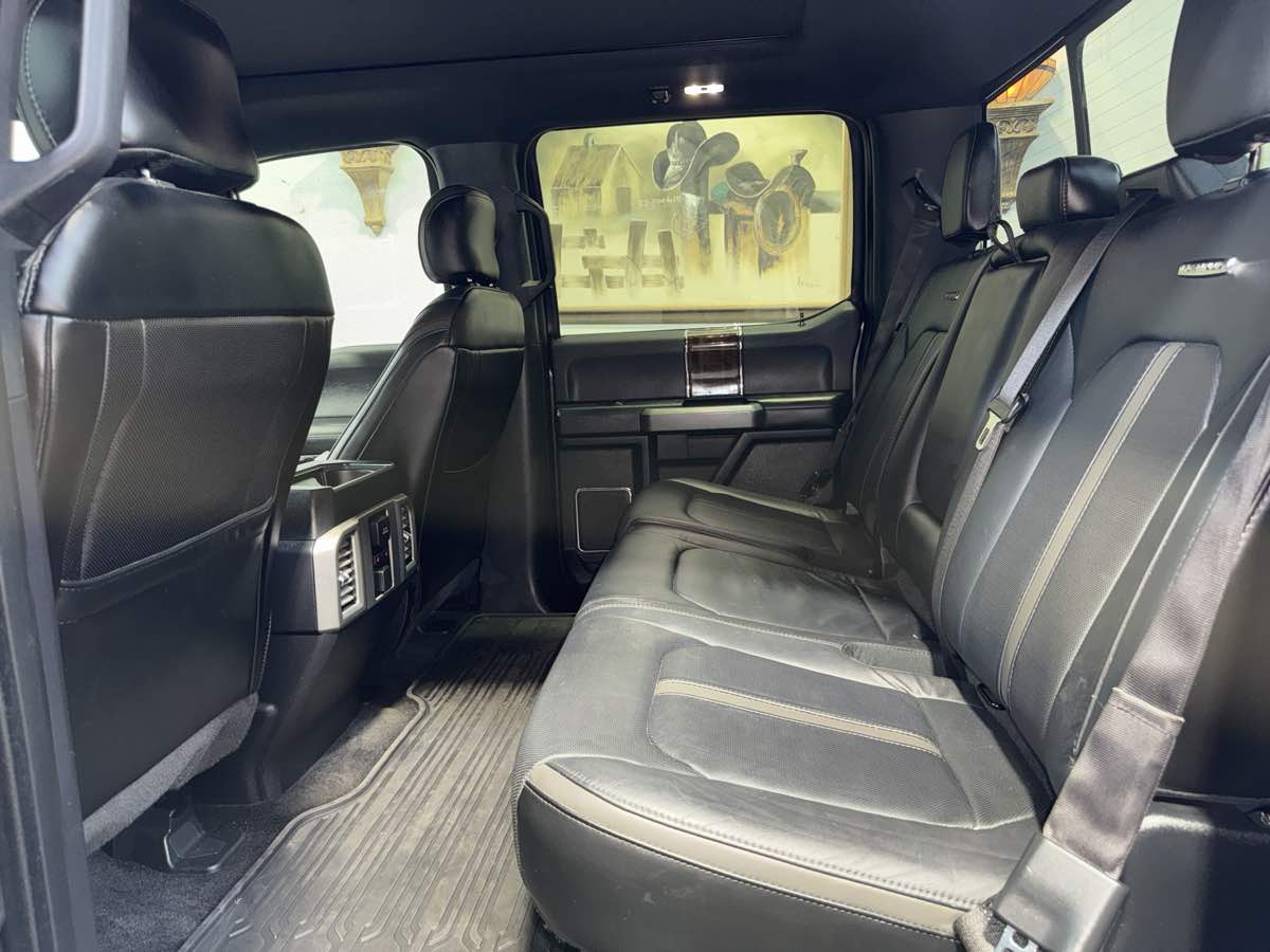 2016 Ford F-150 Platinum photo 22