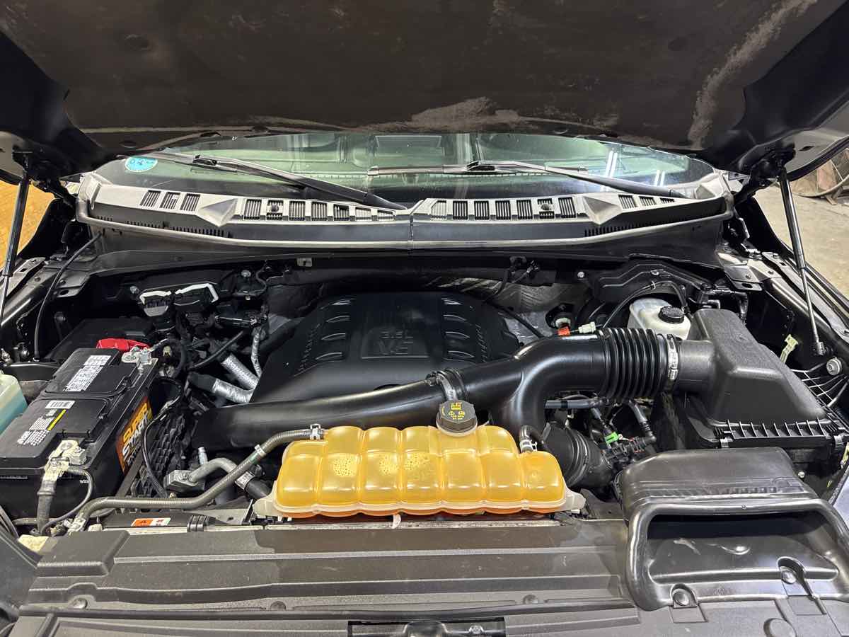 2016 Ford F-150 Platinum photo 28