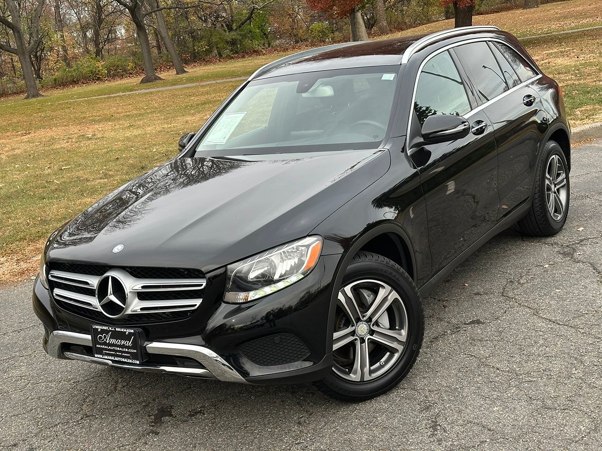 2016 Mercedes-Benz GLC GLC300 photo 2