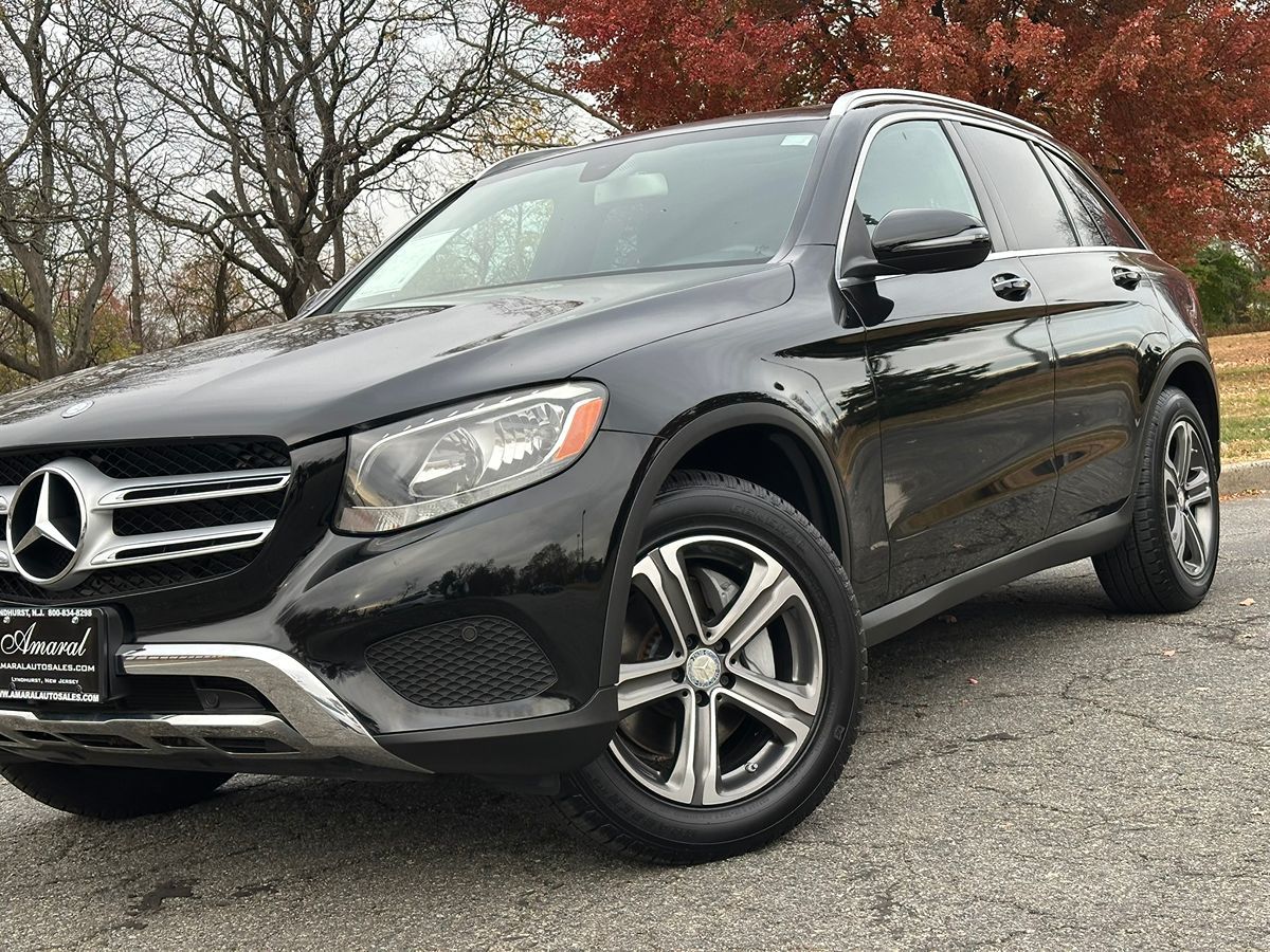 2016 Mercedes-Benz GLC GLC300 photo 10