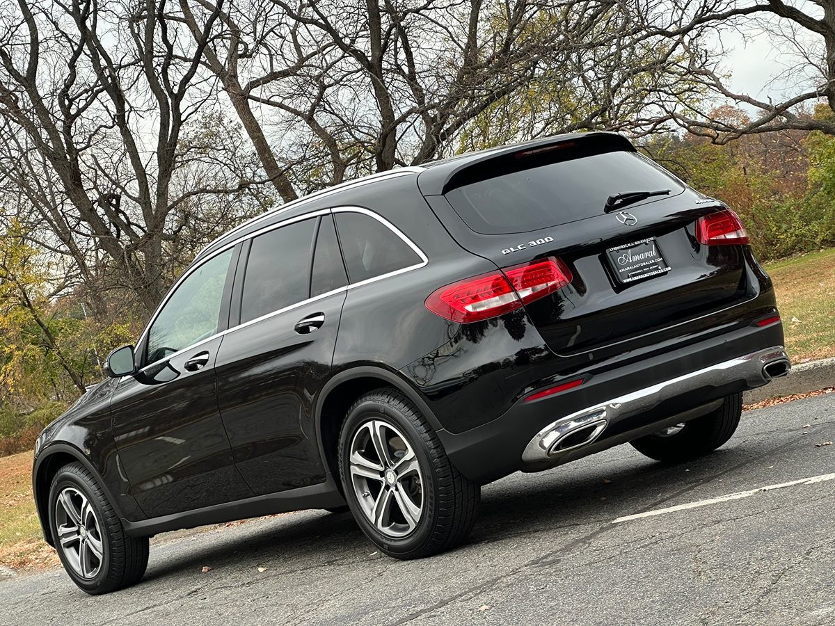 2016 Mercedes-Benz GLC GLC300 photo 5