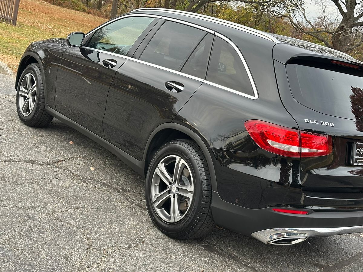 2016 Mercedes-Benz GLC GLC300 photo 13