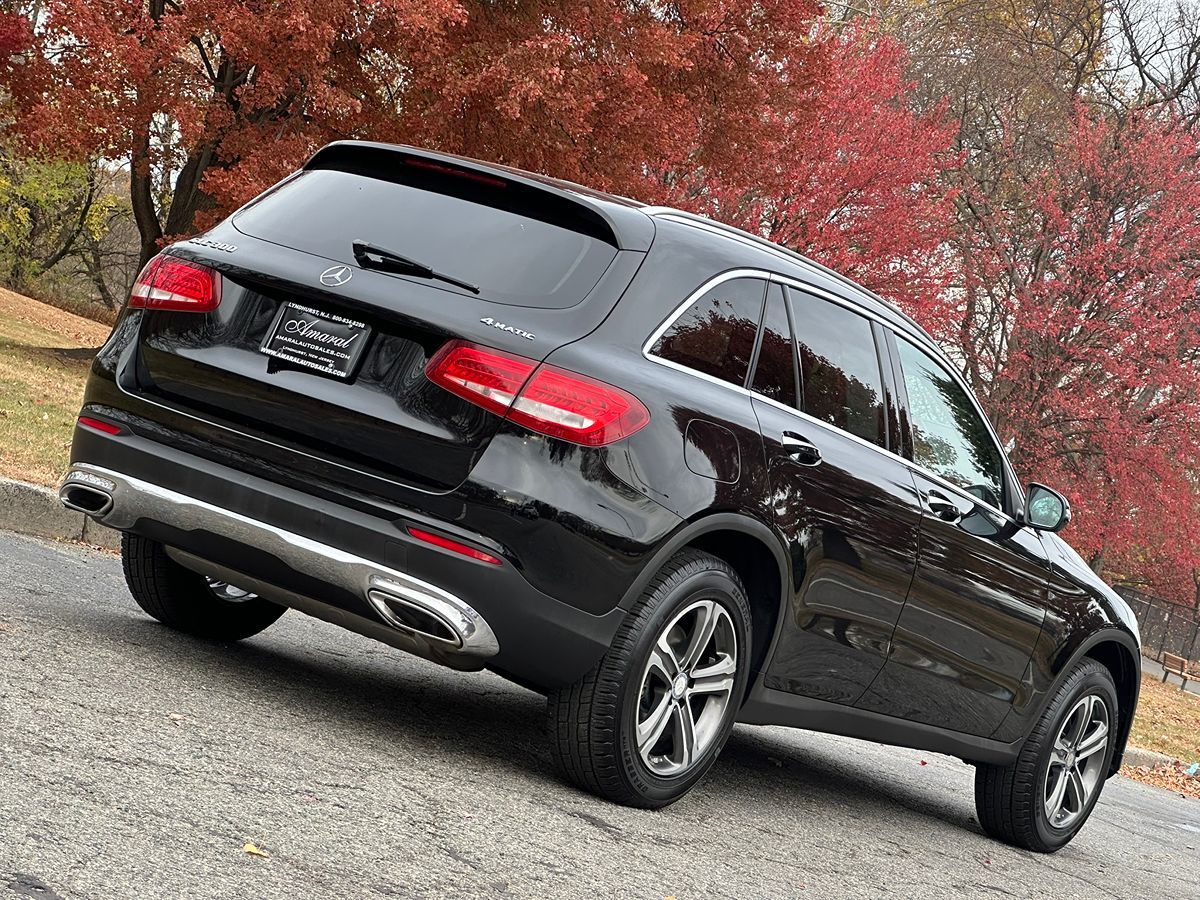 2016 Mercedes-Benz GLC GLC300 photo 6