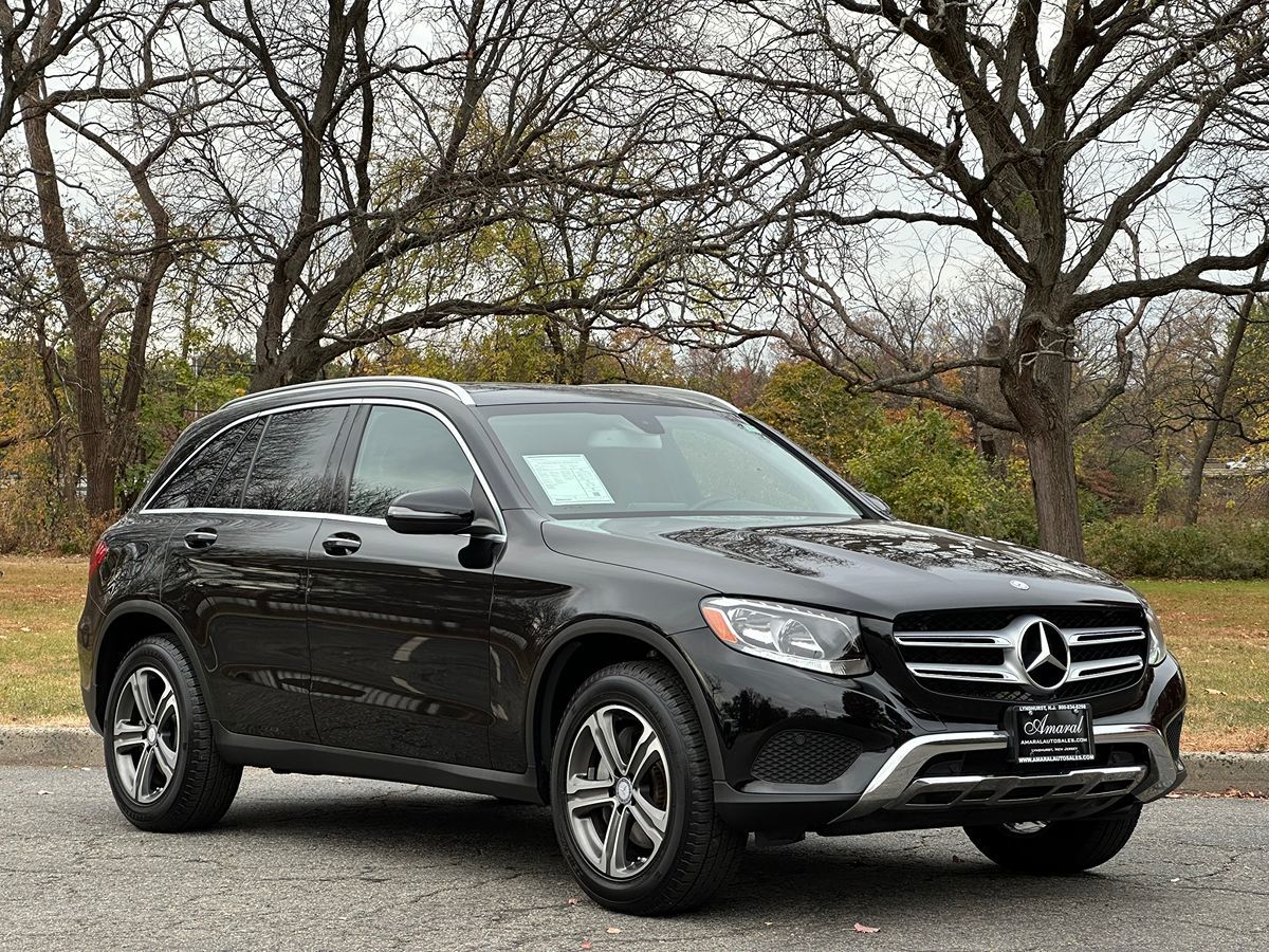 2016 Mercedes-Benz GLC GLC300 photo 3