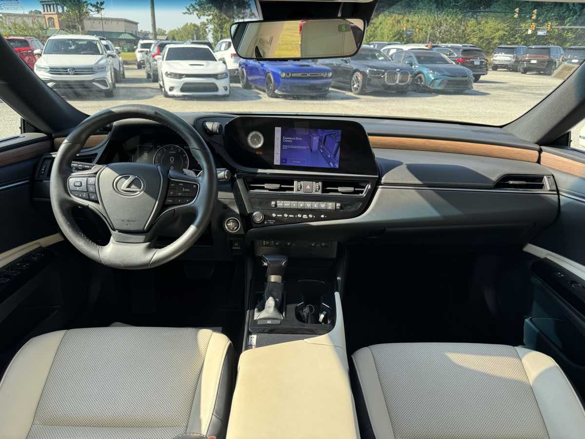 Image #15