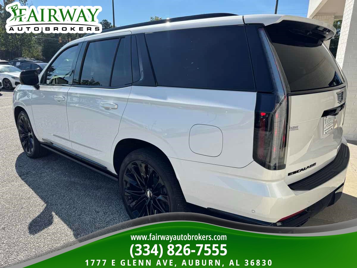 Image #8