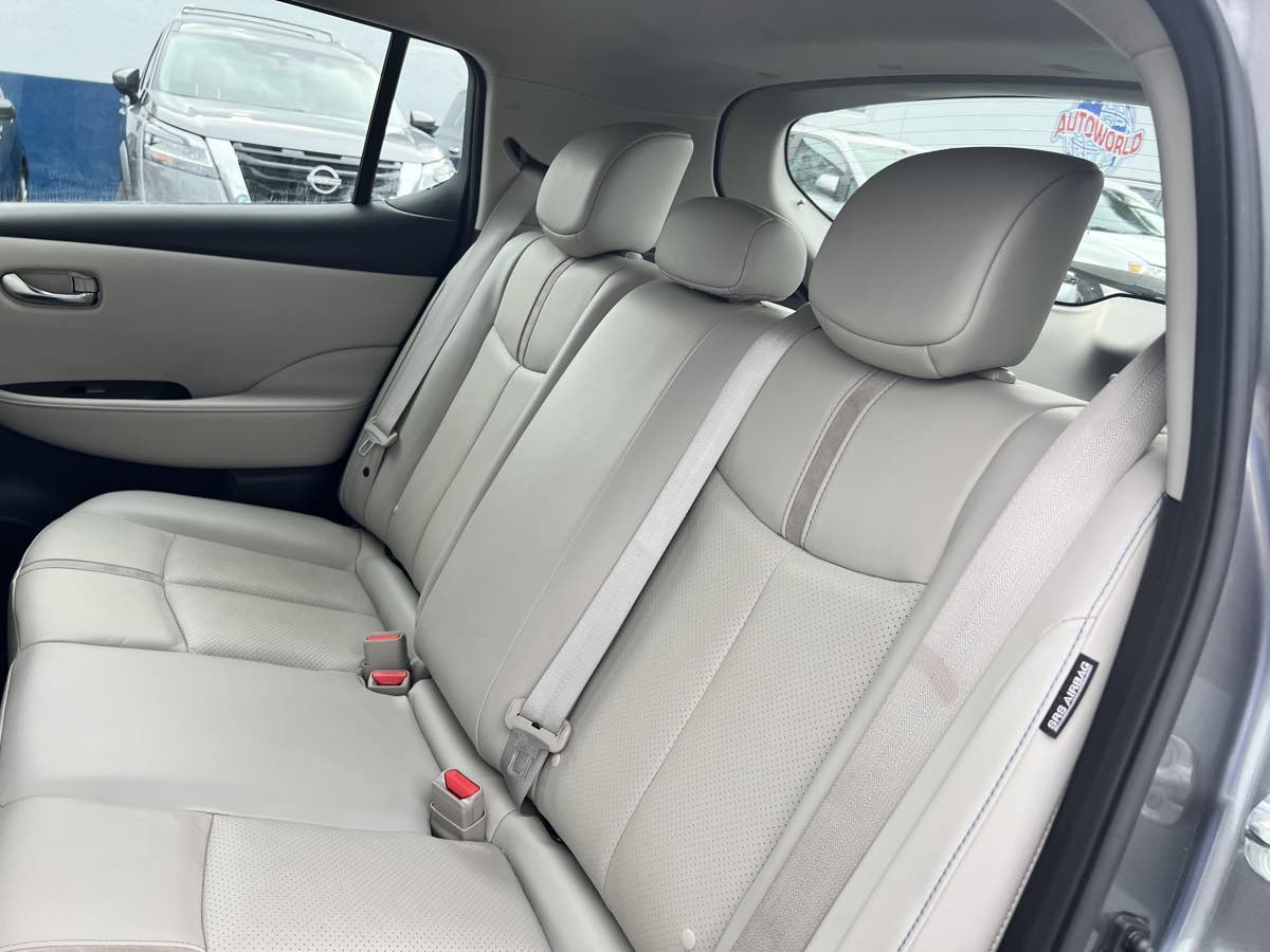 2021 Nissan Leaf SL Plus photo 17