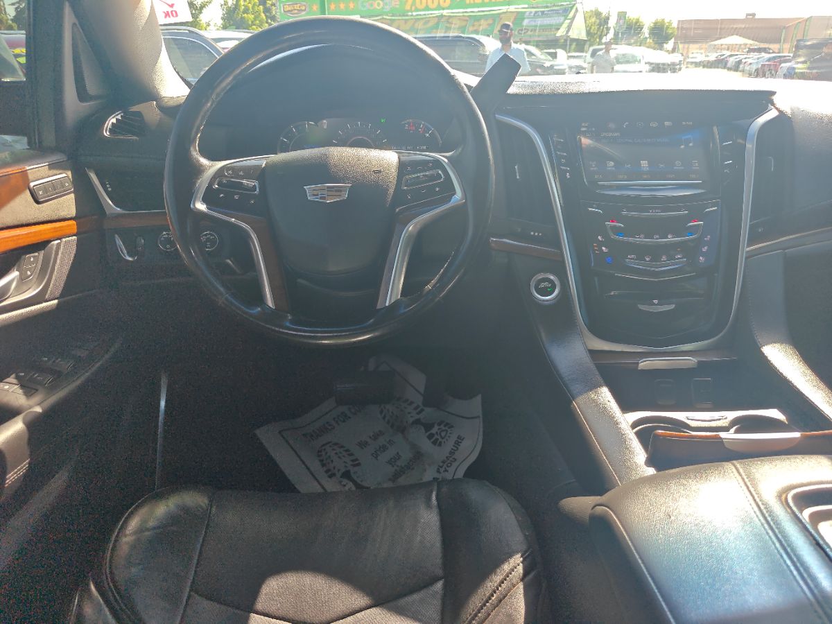 Image #23