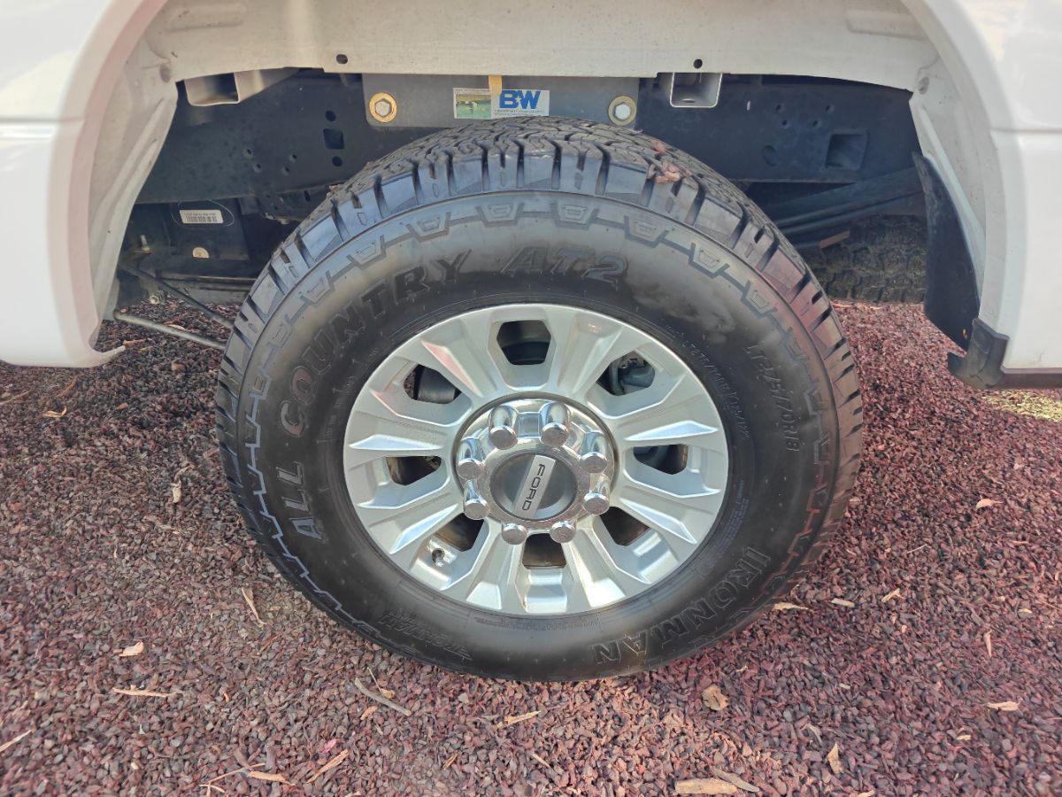 Image #15