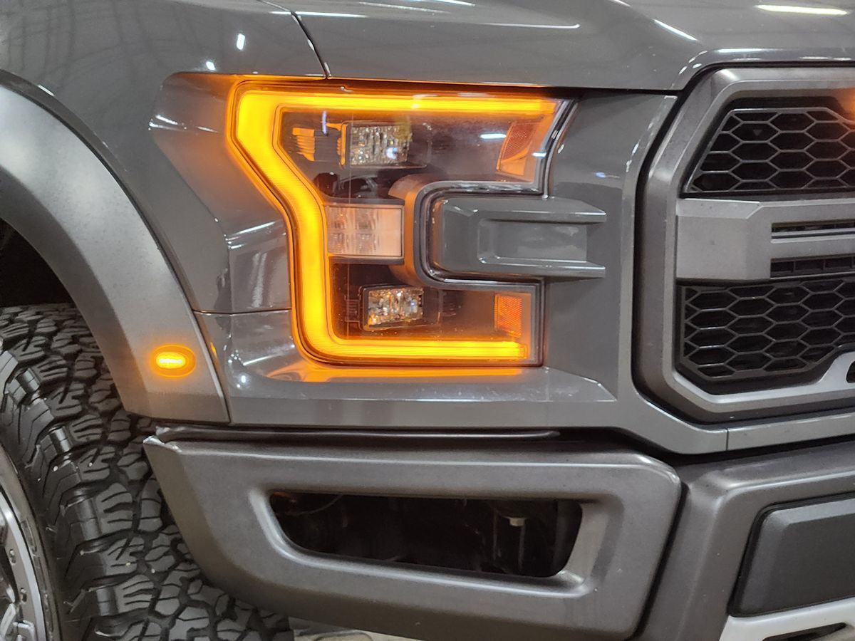 2020 Ford F-150 Raptor photo 8