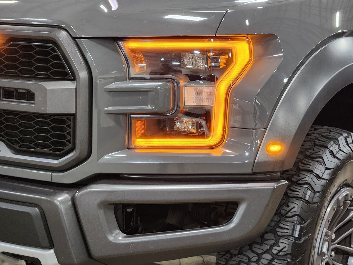 2020 Ford F-150 Raptor photo 9