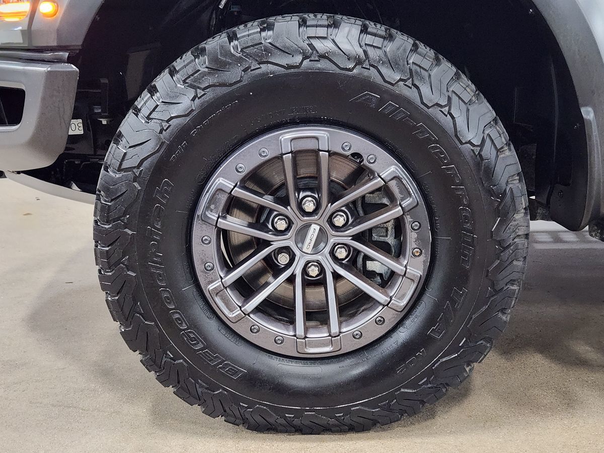 2020 Ford F-150 Raptor photo 19