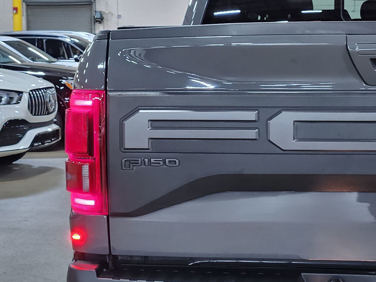 2020 Ford F-150 Raptor photo 13