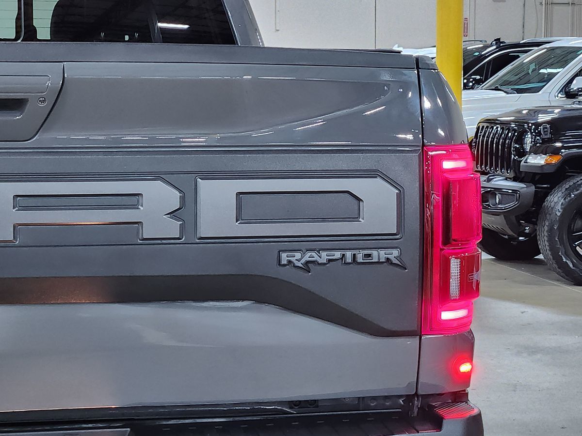 2020 Ford F-150 Raptor photo 15