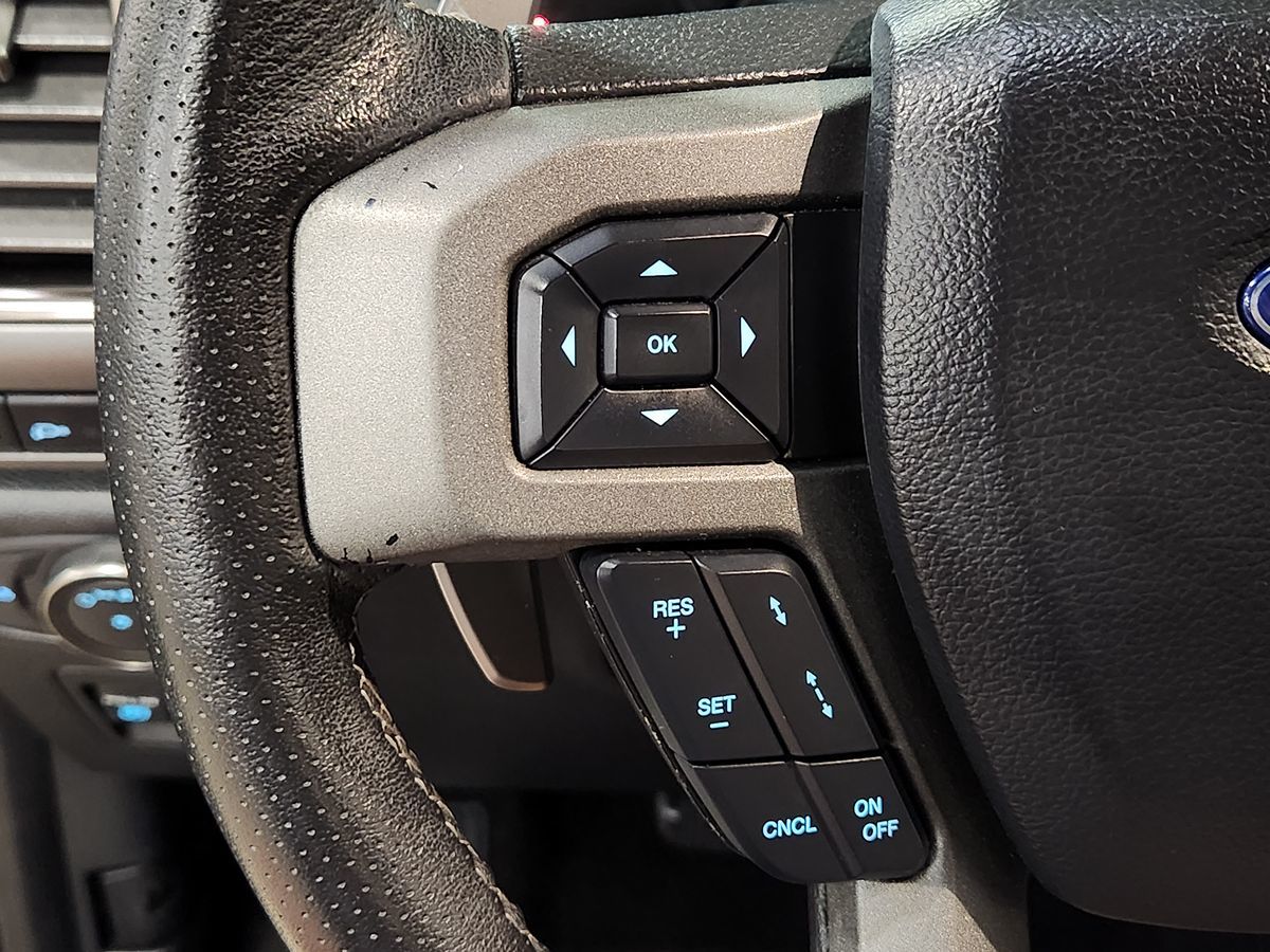 2020 Ford F-150 Raptor photo 37