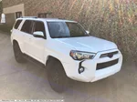 2020 Toyota 4Runner SR5 Premium photo 3