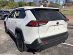 2024 Toyota RAV4 LE photo 3