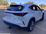 2022 Lexus NX 350 Premium photo 3