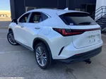 2022 Lexus NX 350 Premium photo 4