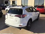 2018 Toyota RAV4 XLE photo 3