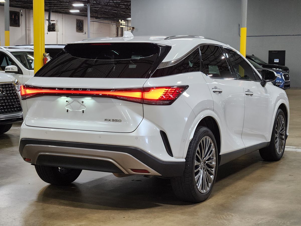 2023 Lexus RX 350 - Photo 8
