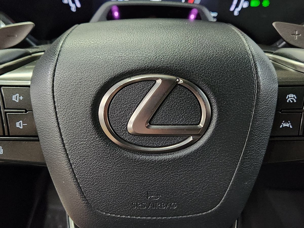 2023 Lexus RX 350 - Photo 49