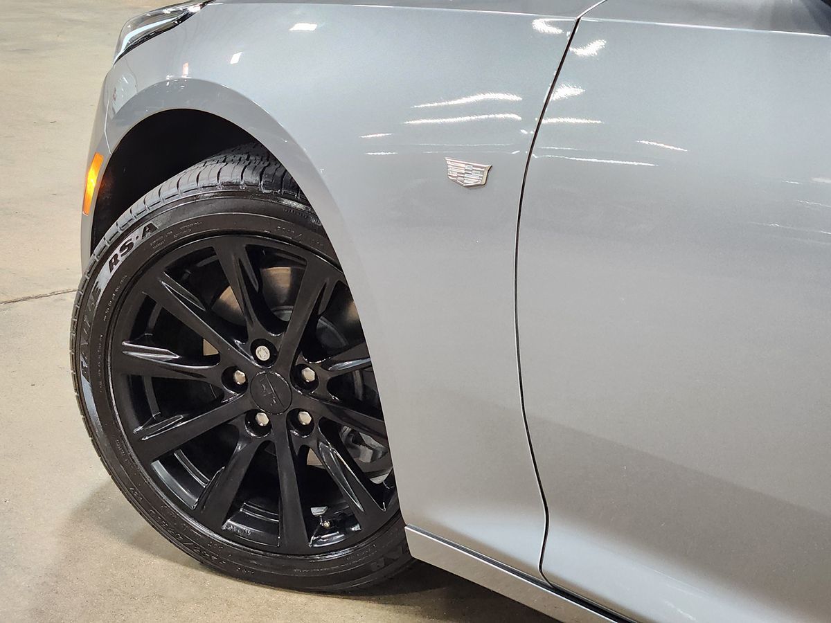Image #23