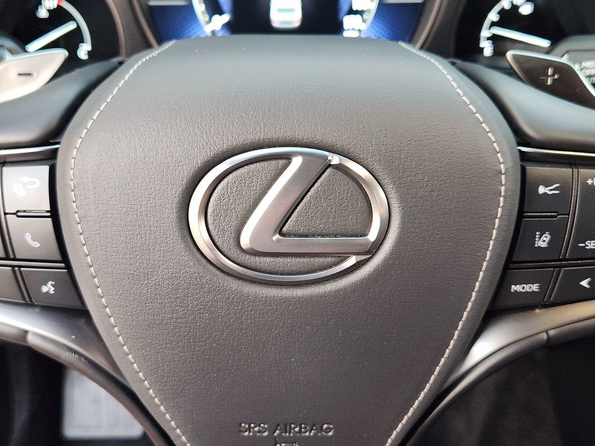 Lexus LS photo 48