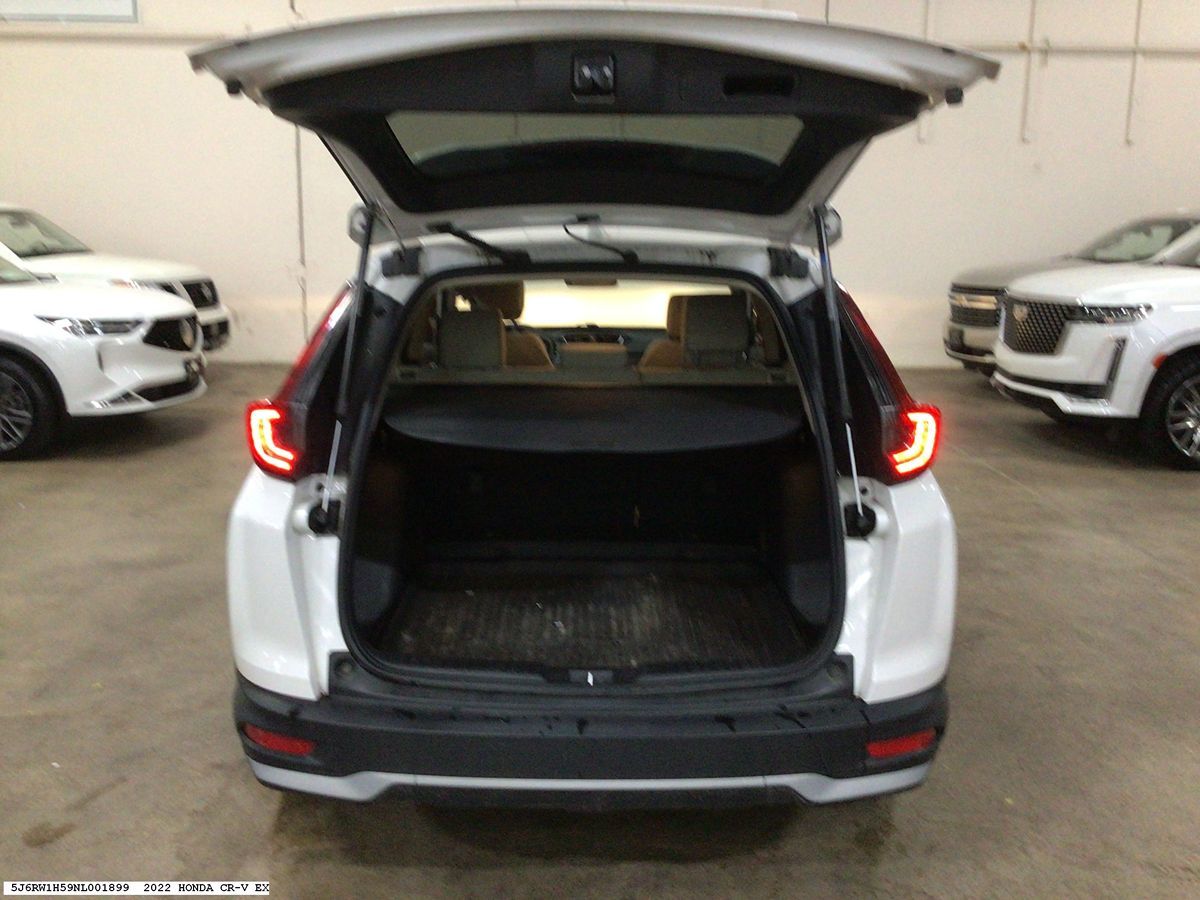 Honda CR-V photo 10