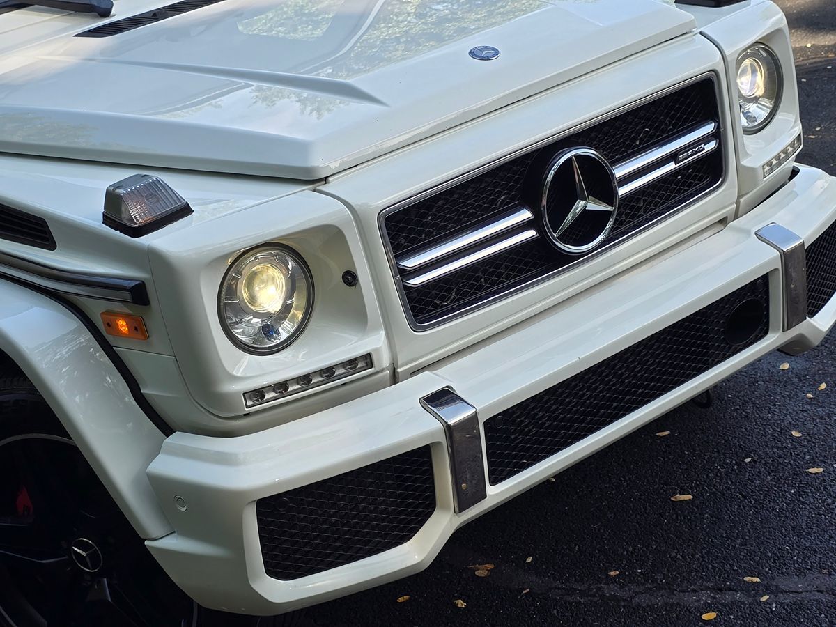 Mercedes-Benz AMG G 63 photo 58