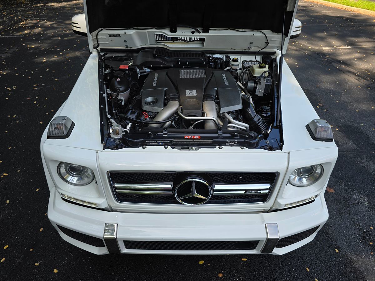 Mercedes-Benz AMG G 63 photo 52
