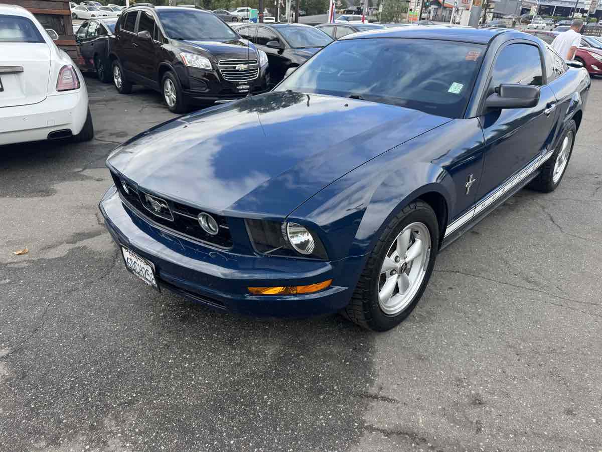 2008 Ford Mustang Deluxe photo 3