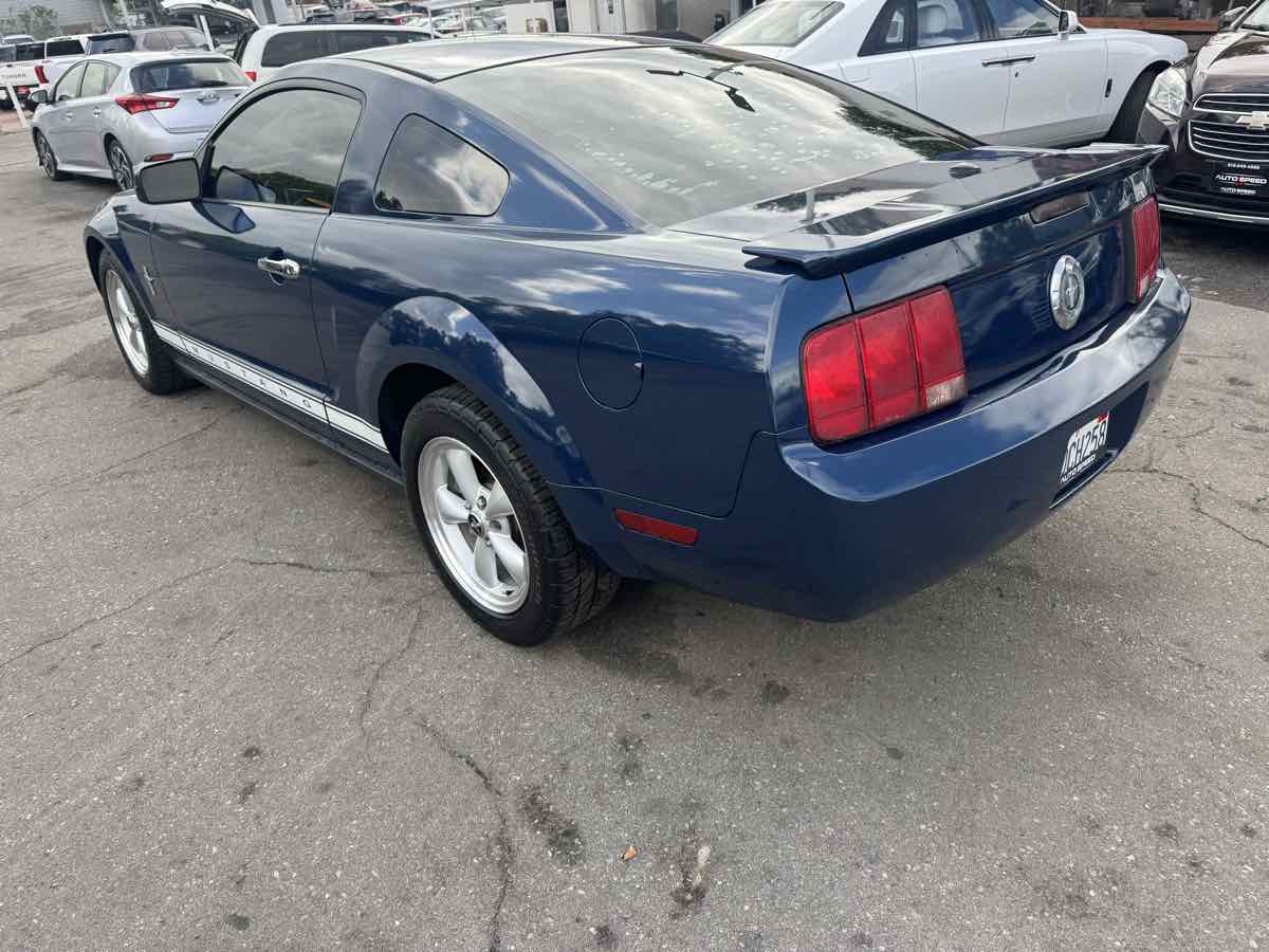 2008 Ford Mustang Deluxe photo 6
