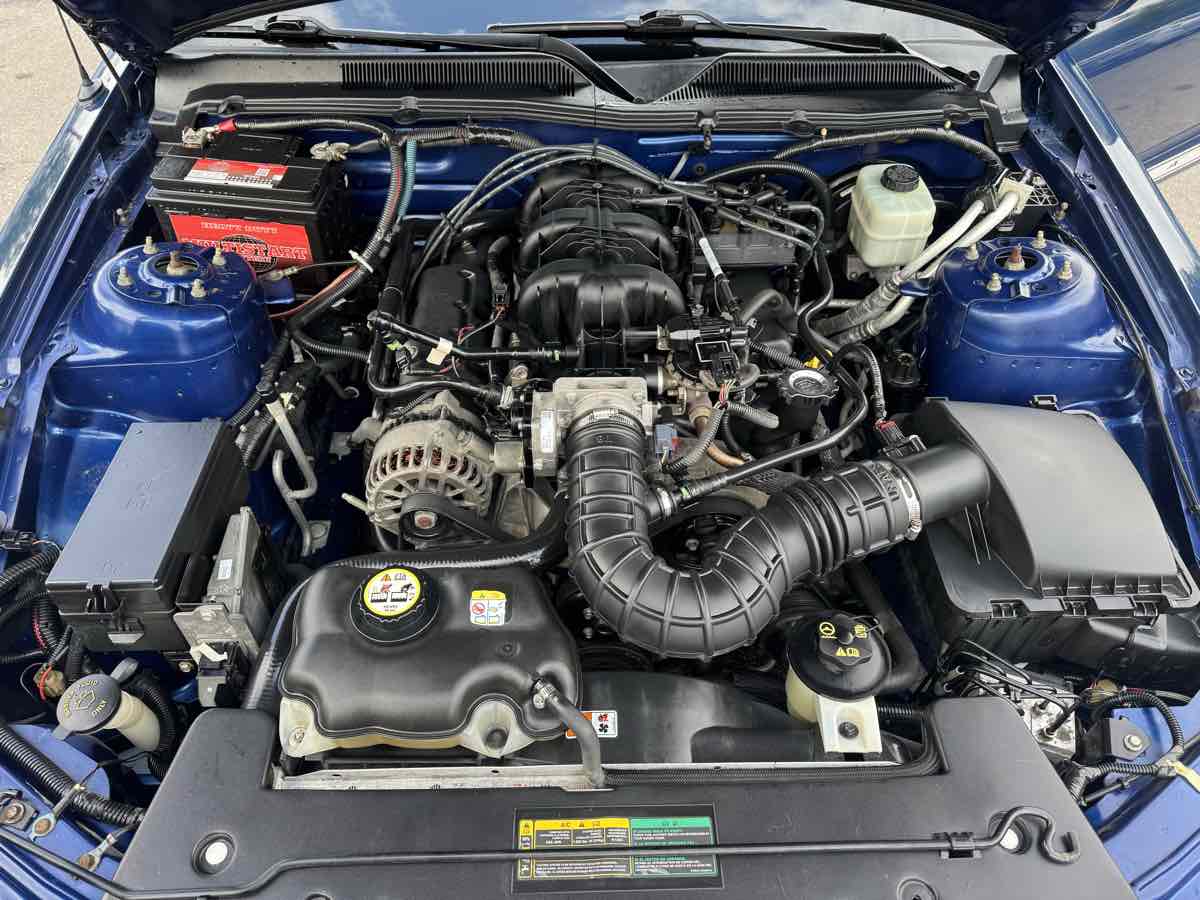 2008 Ford Mustang Deluxe photo 16