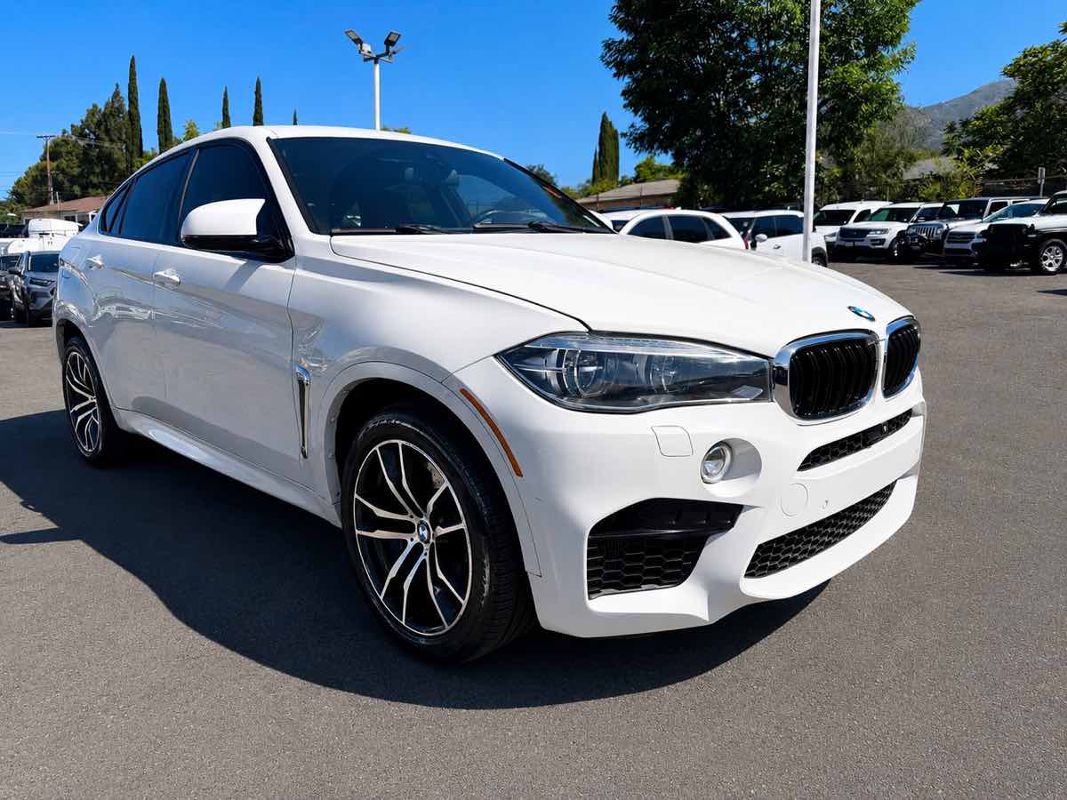 2017 BMW X6 M xDrive M's photo