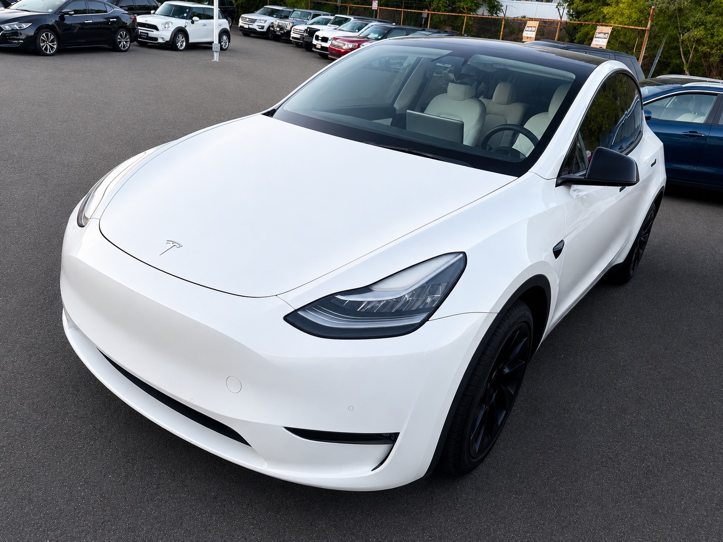 2021 Tesla Model Y Long Range Dual Motor All-Wheel Drive's photo