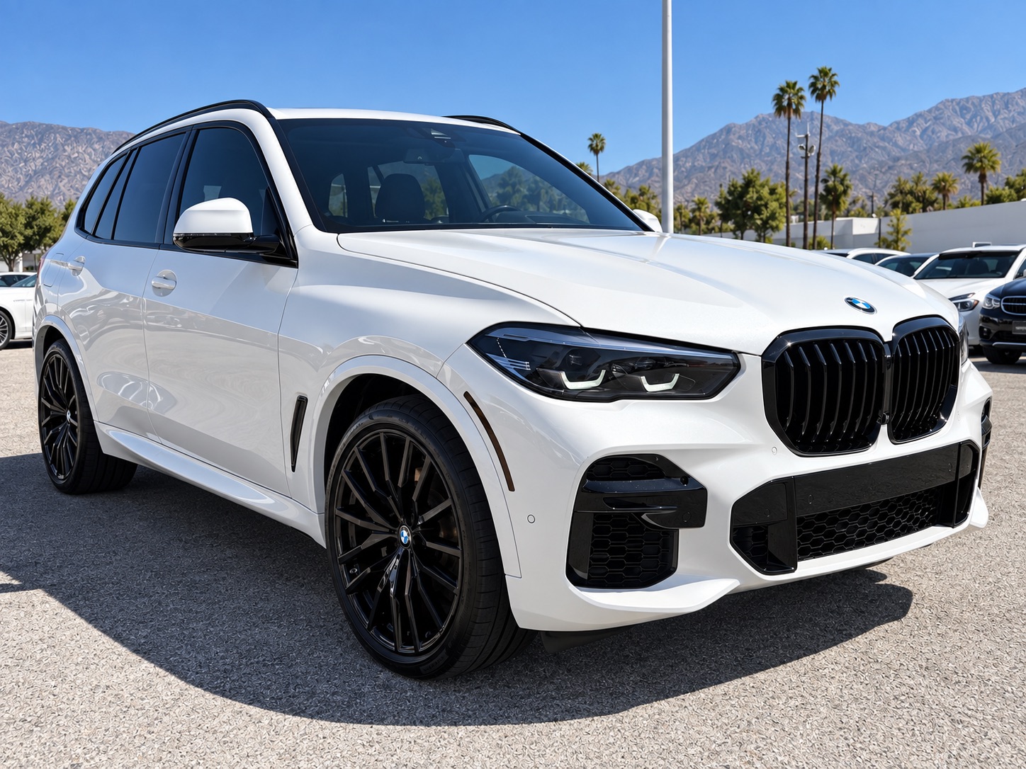 2023 BMW X5 sDrive40i