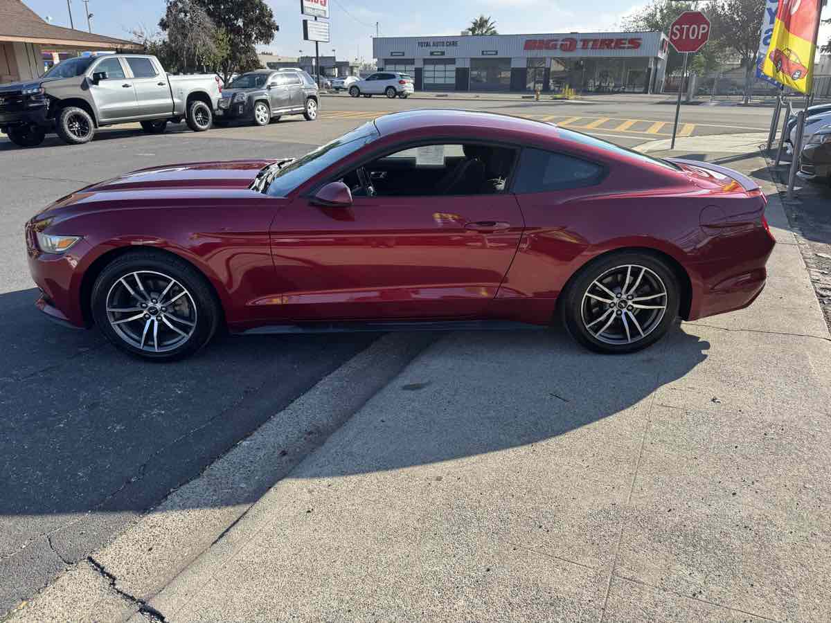 2017 Ford Mustang EcoBoost Mach 1 photo 4