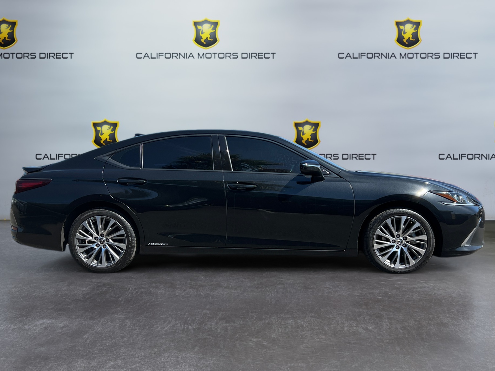 2021 Lexus ES 300h photo 2