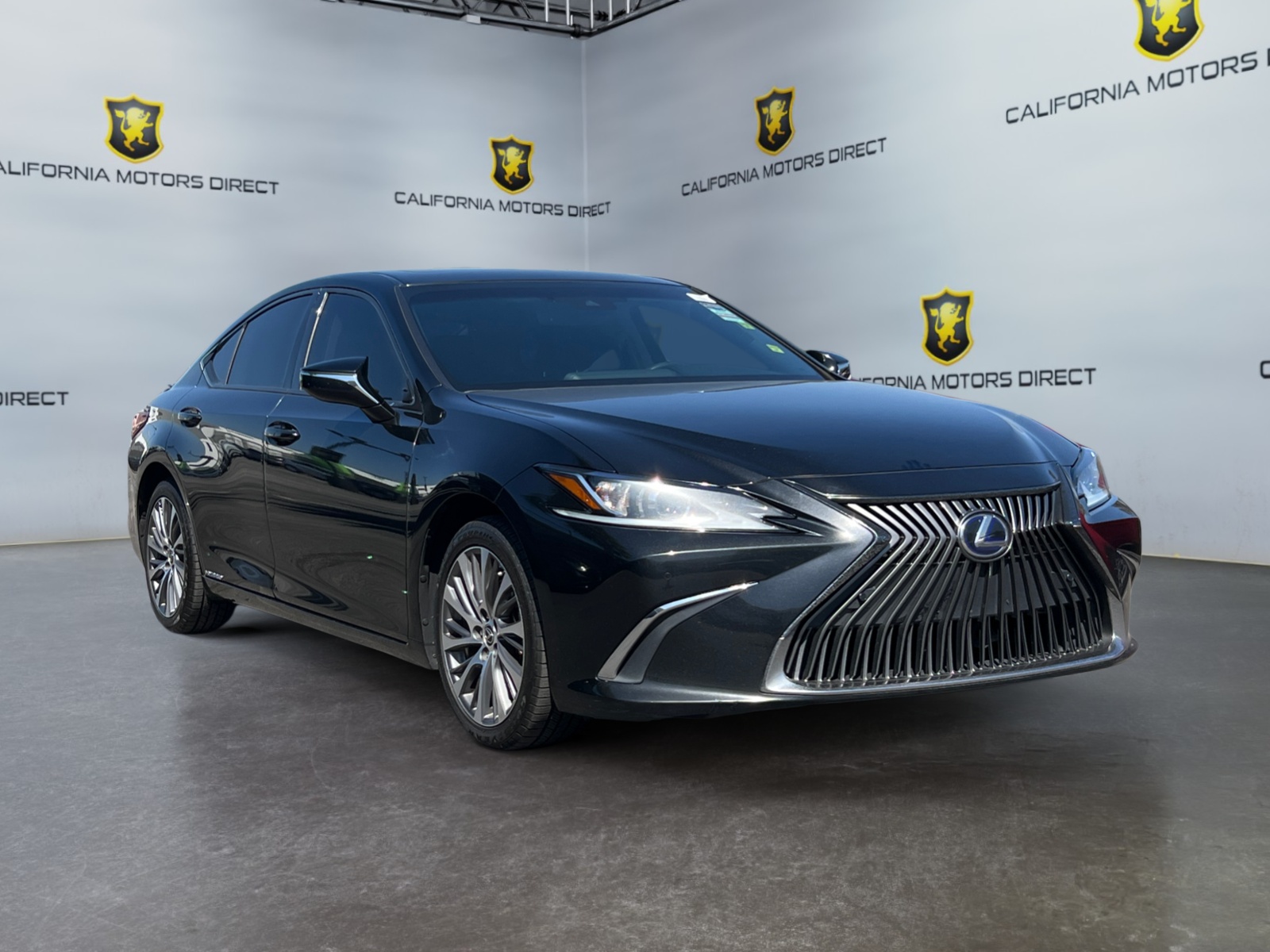 2021 Lexus ES 300h photo 3