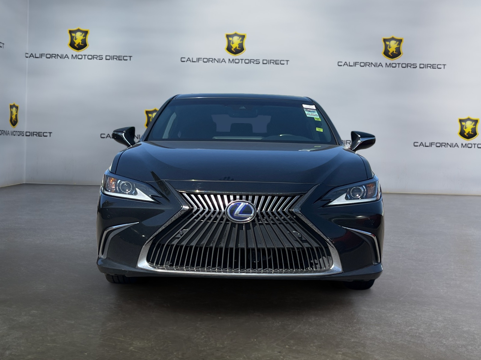 2021 Lexus ES 300h photo 4