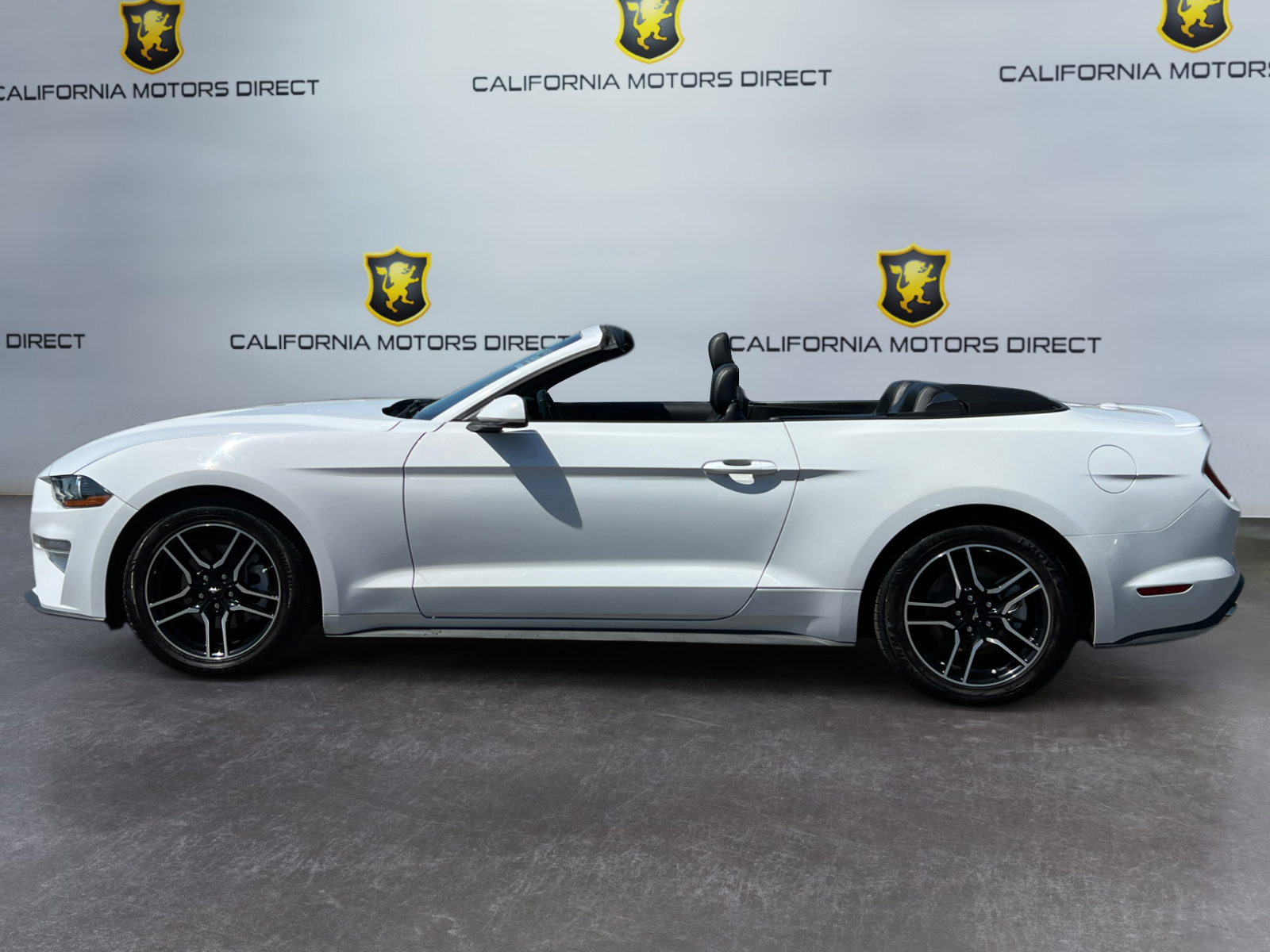 2021 Ford Mustang EcoBoost Premium photo 2