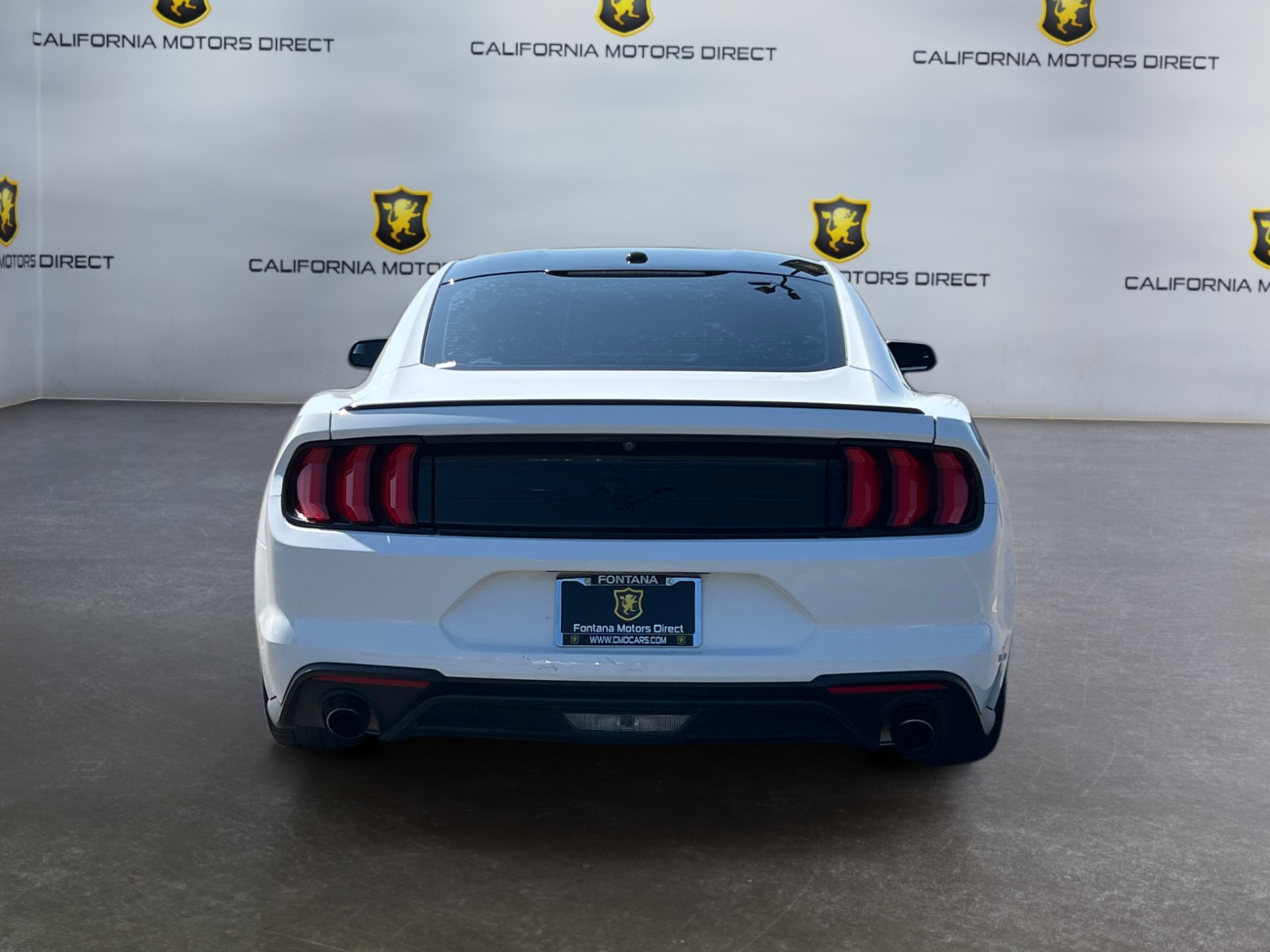 2019 Ford Mustang EcoBoost photo 4