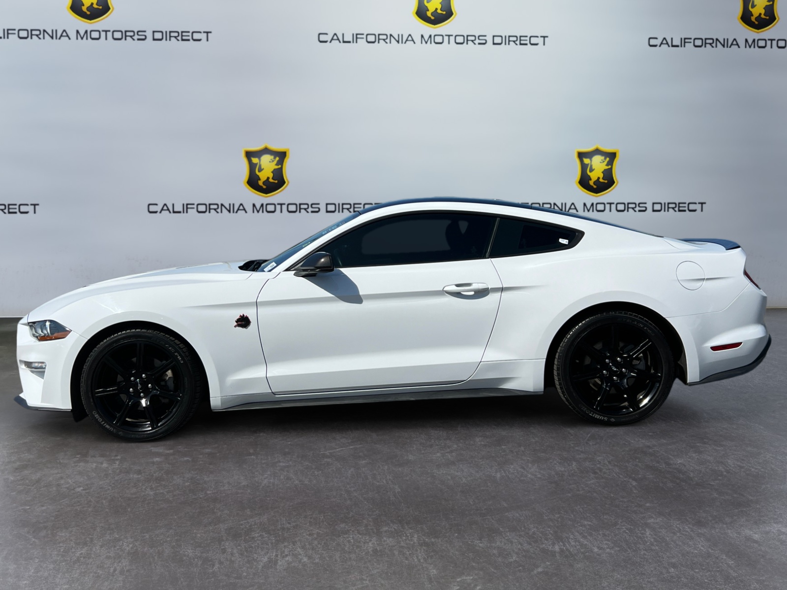 2019 Ford Mustang EcoBoost photo 2